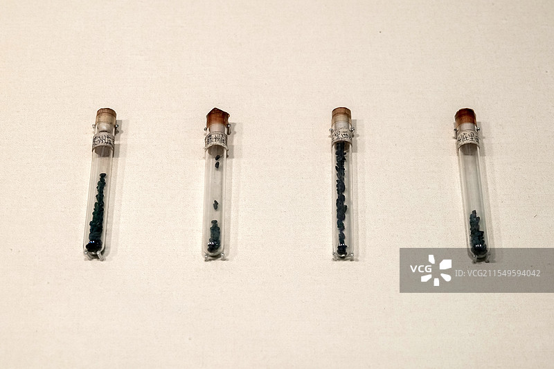 炭化稻 新石器时代龙山文化 滕州庄里西遗址出土 山东省文物考古研究院藏图片素材