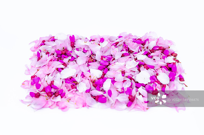 中国野生植物影棚拍摄主题，用重瓣榆叶梅花瓣和紫荆树花瓣排列组合的花盆盆栽几何形状，室内无人图像摄影图片素材