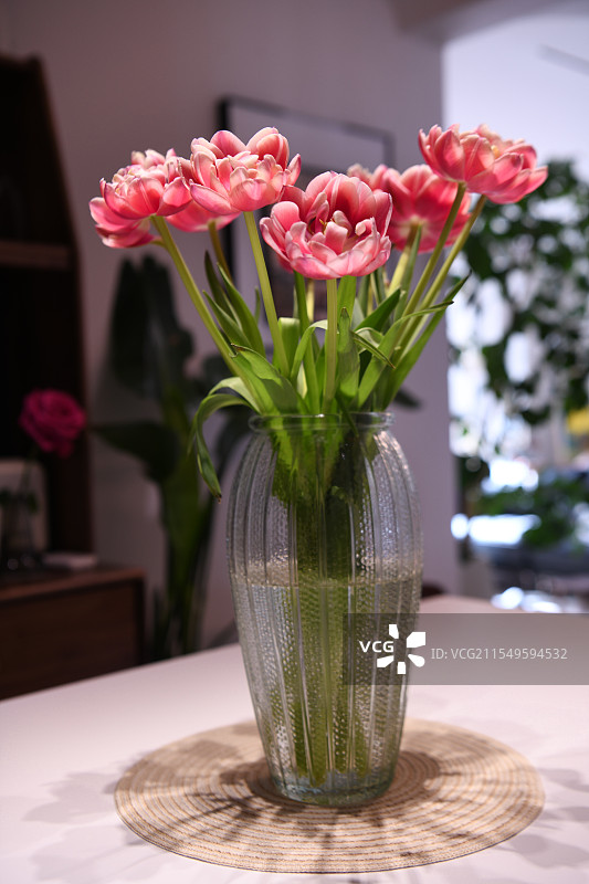 草莓松饼郁金香图片素材