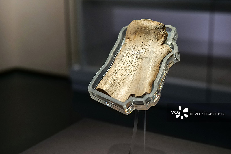 “月一正曰食麦”干支表刻辞胛骨 出组二类刻辞 山东博物馆“此刻华夏-殷商甲骨文展”图片素材