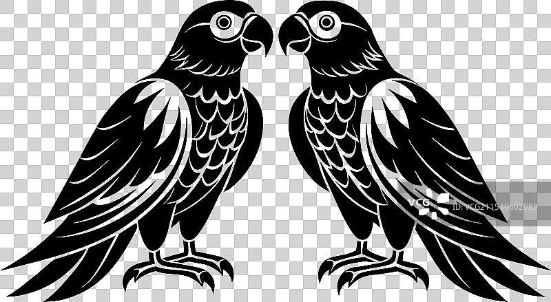 色彩斑斓的亚马逊鹦鹉令人惊叹图片素材