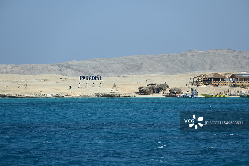 海岛 椰子林图片素材