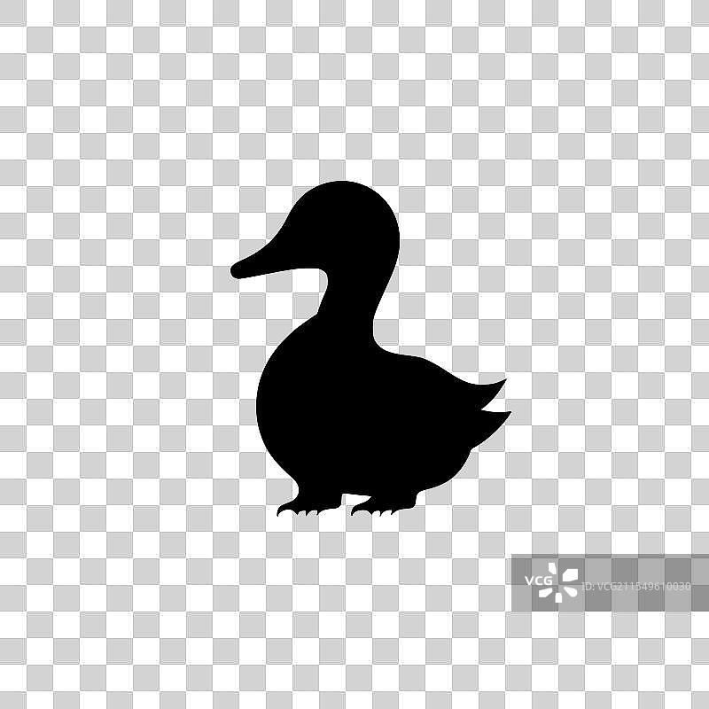 黑白鸭子图片素材