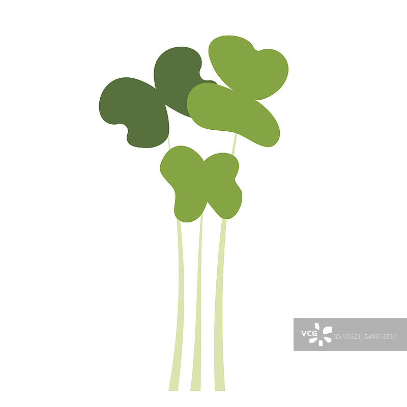 芥末微型绿芽的轮廓图片素材