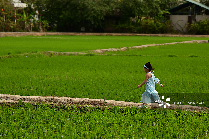 三亚国家稻田公园图片素材