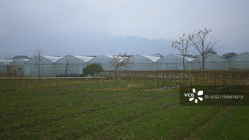 位于新前街道的高标准农田图片素材