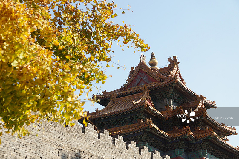 角楼旁银杏树图片素材