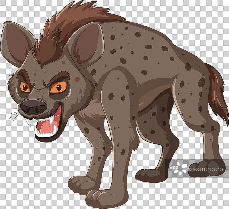 愤怒的斑点鬣狗处于攻击姿态图片素材