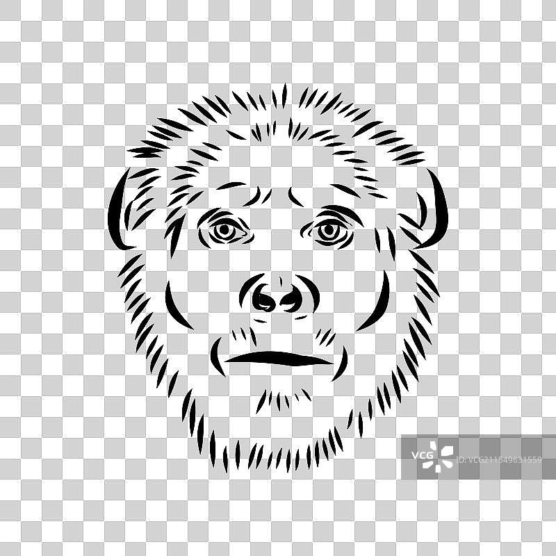 南方古猿素描图图片素材