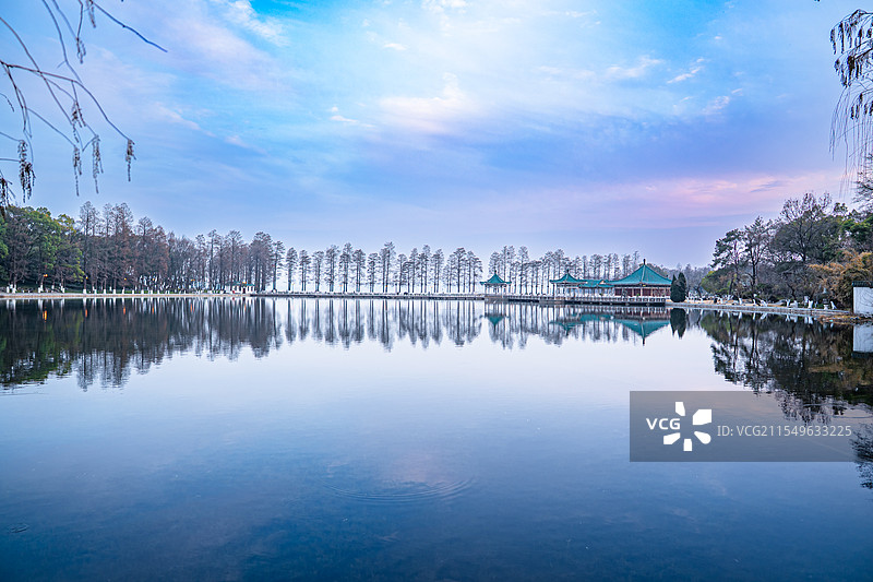 武汉 东湖 碧海观鱼 水杉倒影 意境 静谧 中式美学图片素材