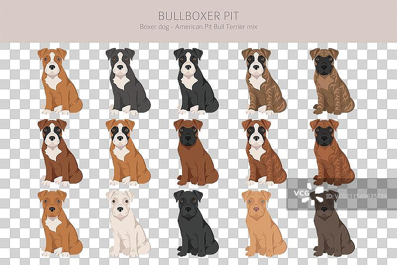 拳击犬与美国斗牛犬的剪贴画图片素材