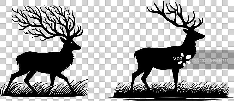 白色背景上的鹿剪影套装图片素材