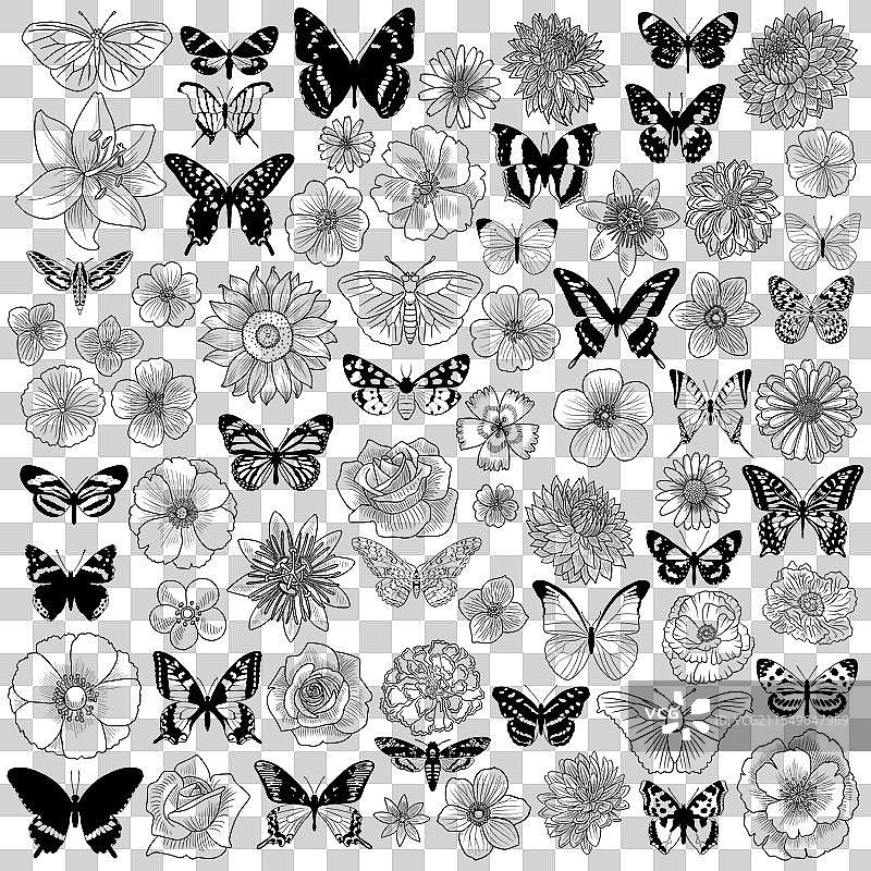 花朵和蝴蝶的绘画组合图片素材