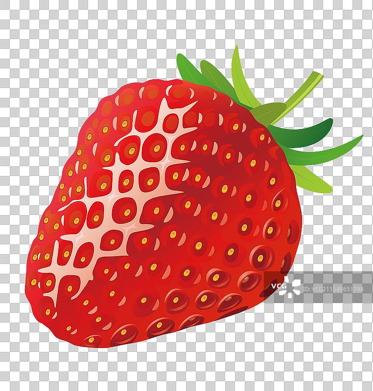 矢量草莓 红色的草莓插画元素图片素材