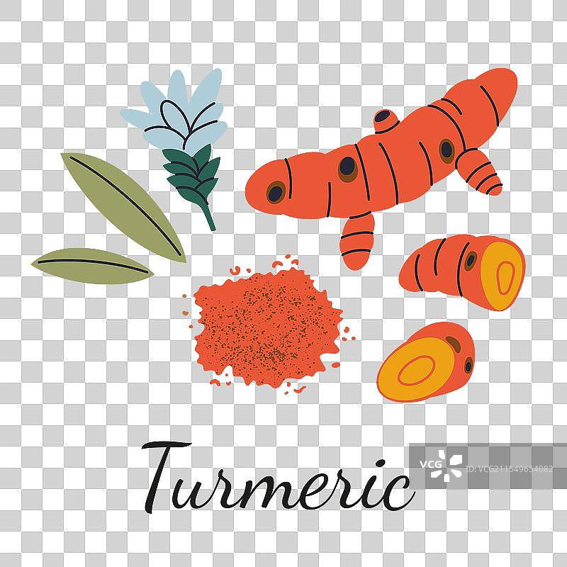 平面卡通风格的姜黄图片素材