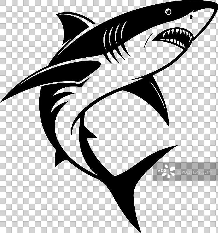鲨鱼图标剪影艺术设计图片素材