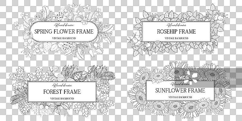 手绘植物框架，带有叶子和图片素材