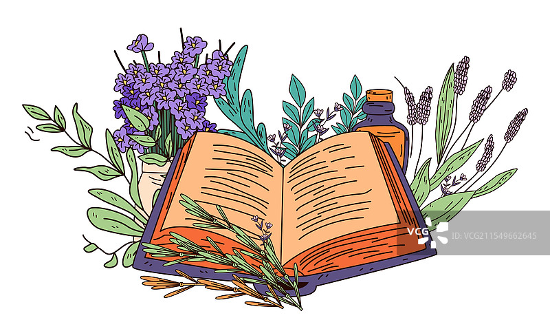 打开的书籍与薰衣草花卉植物主题图片素材
