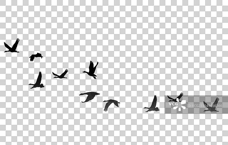 一群飞翔的小鸟元素图片素材