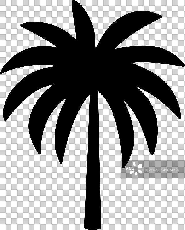 一棵简约风格的棕榈树剪影图片素材