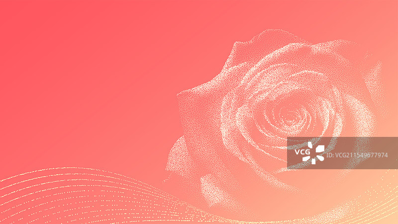 女神节玫瑰花图片素材