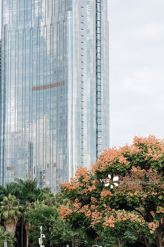 福州滨江公园栾树花开城市风光图片素材