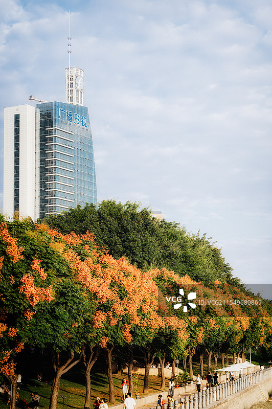 福州滨江公园栾树花开城市风光图片素材