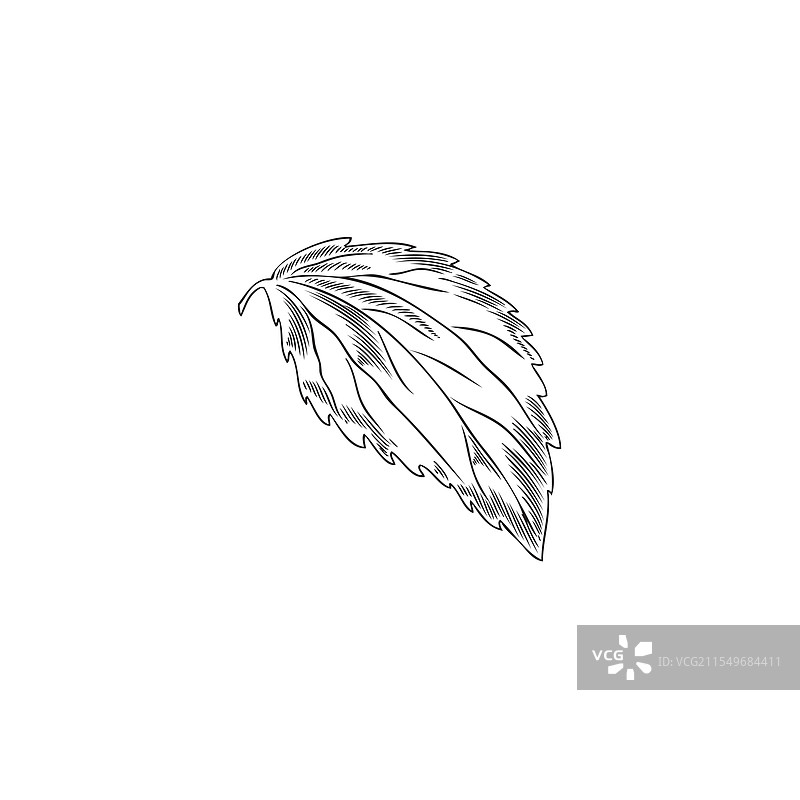 黑白风格的纸张图标图片素材