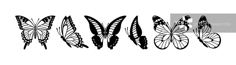 一组蝴蝶的特写图片素材