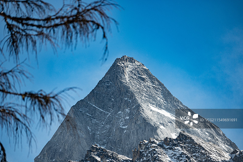 树木与雪山相融合图片素材