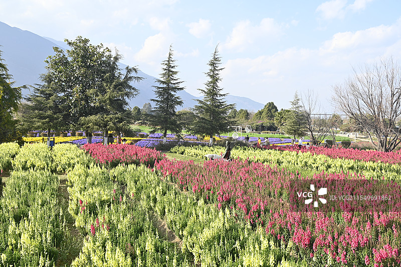 花园美景图片素材