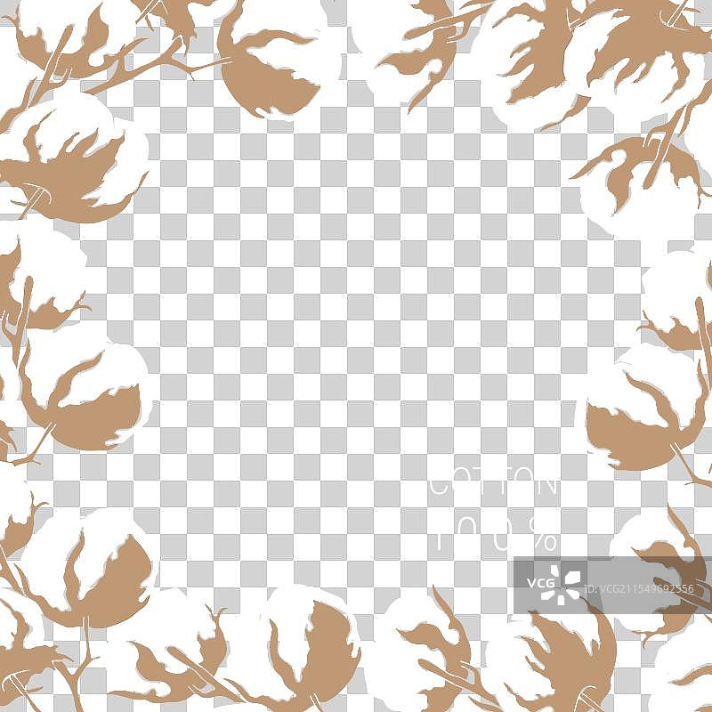 棉花花框模板背景插图图片素材