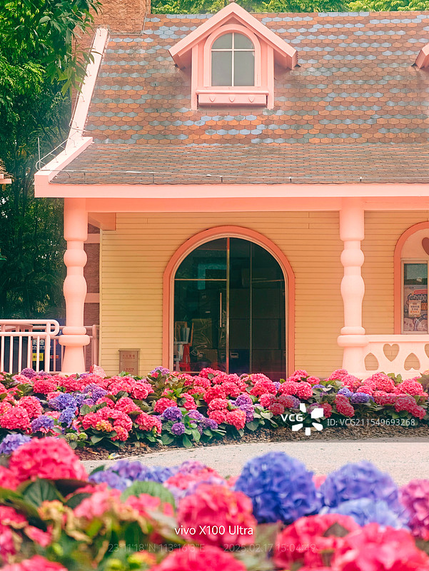 闯入童话小屋，粉色与淡黄交织着温柔。门前绣球盛放，缤纷色彩晕染出浪漫日常，每朵花都藏着甜蜜梦。图片素材
