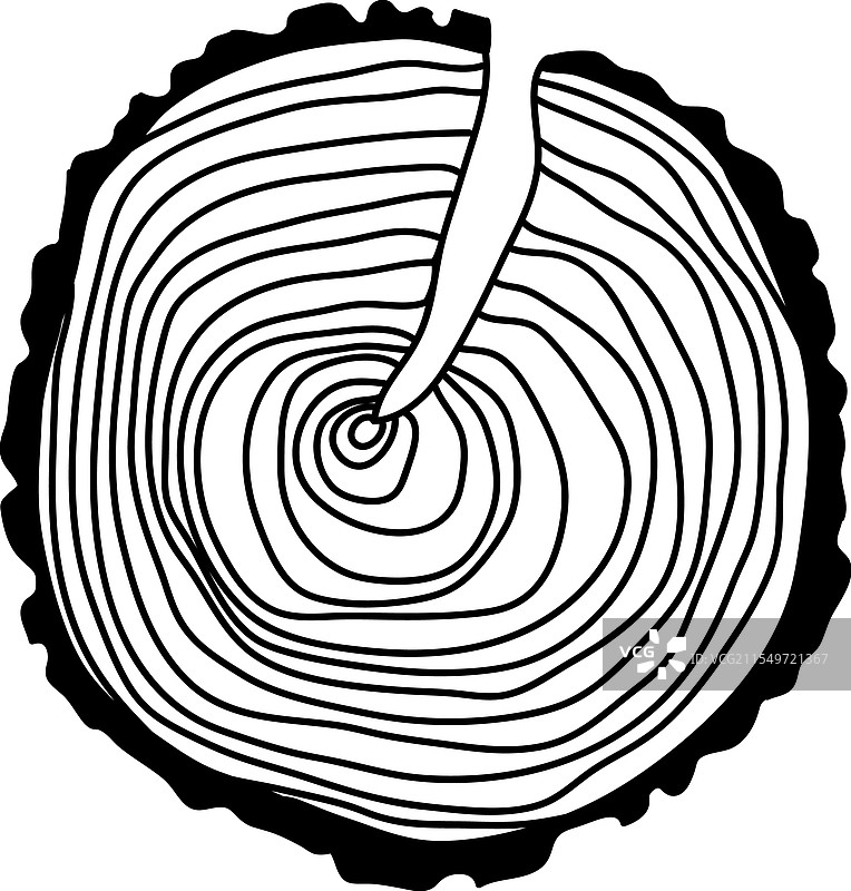 木质圆形线条纹理图片素材