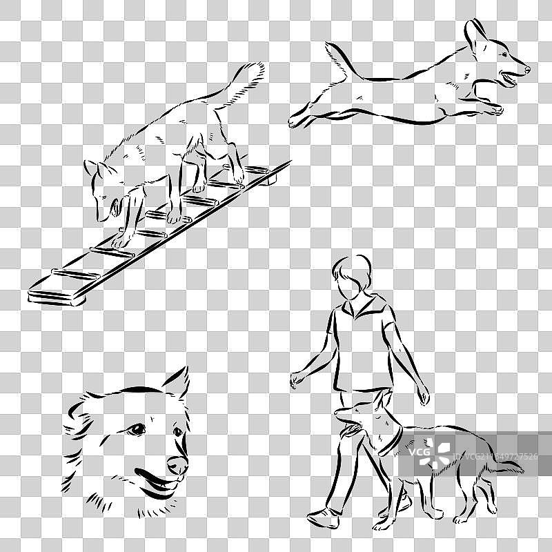 卡通角色的狗训练场景图片素材