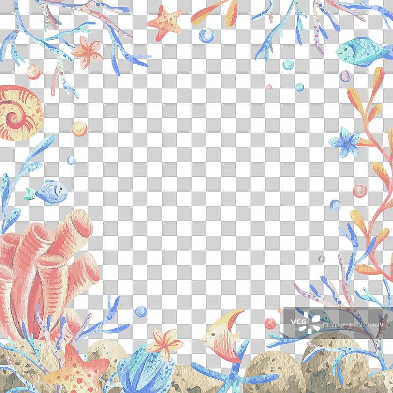 海洋珊瑚、藻类、贝壳、海星、鱼和气泡图片素材