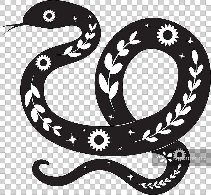 带花卉的蛇剪影图片素材