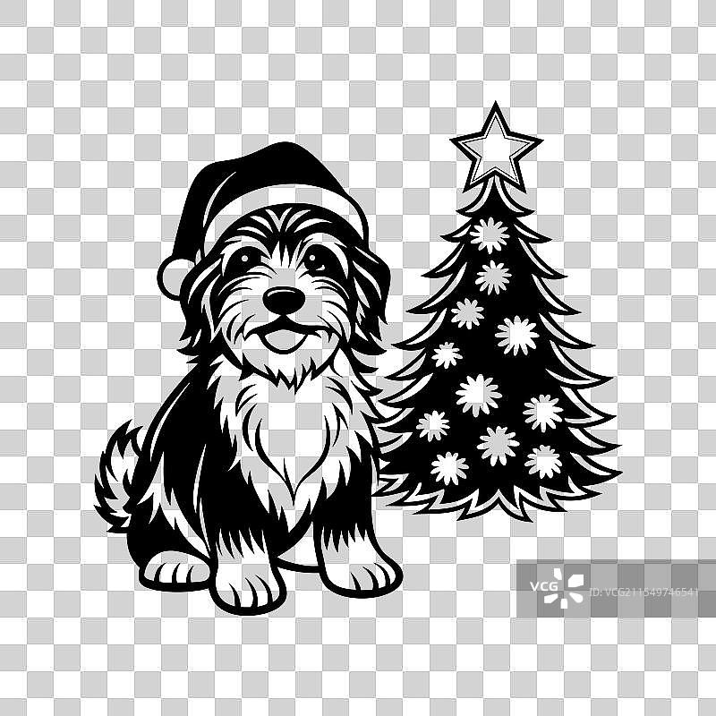 圣诞老人帽子的哈瓦那犬SVG图案图片素材