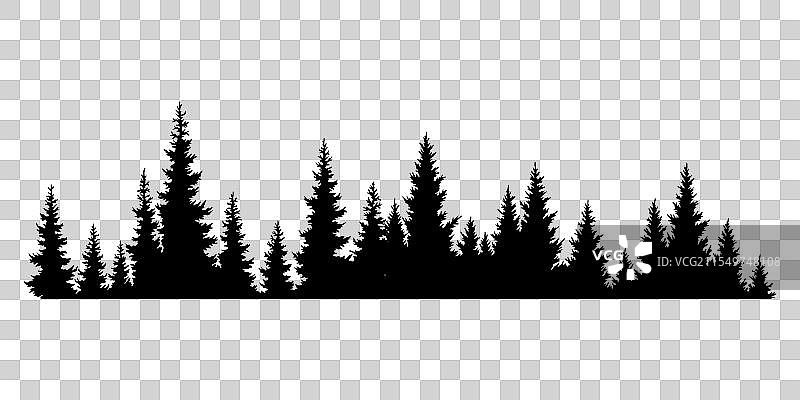 云杉的轮廓，横向的针叶树图片素材