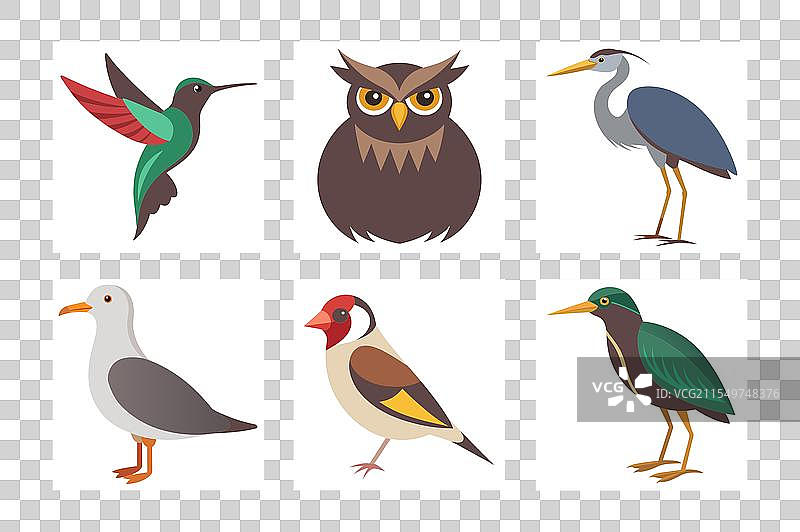 金翅雀 大蓝鹭 大角猫头鹰图片素材