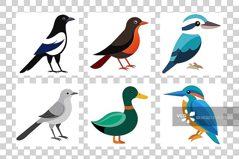 翠鸟、笑翠鸟、喜鹊、野鸭图片素材