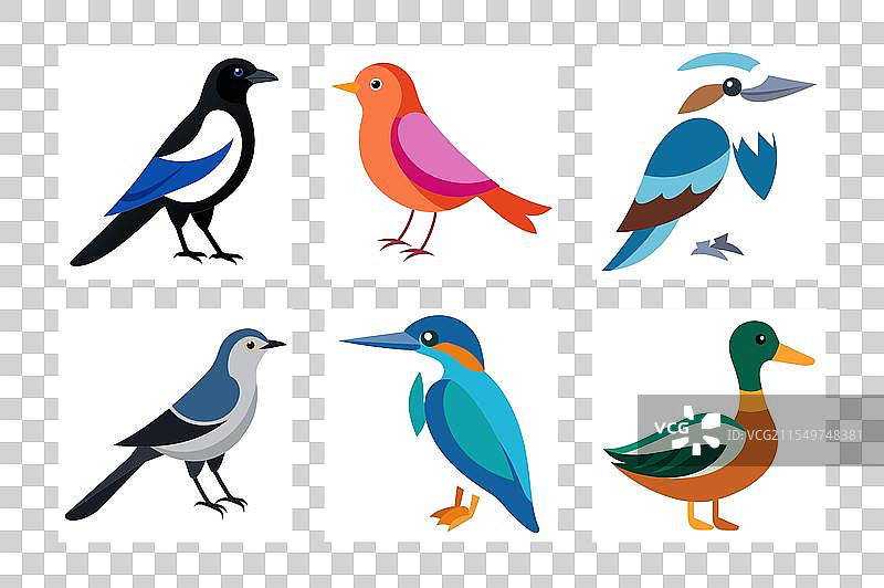 翠鸟、笑翠鸟、喜鹊、野鸭图片素材