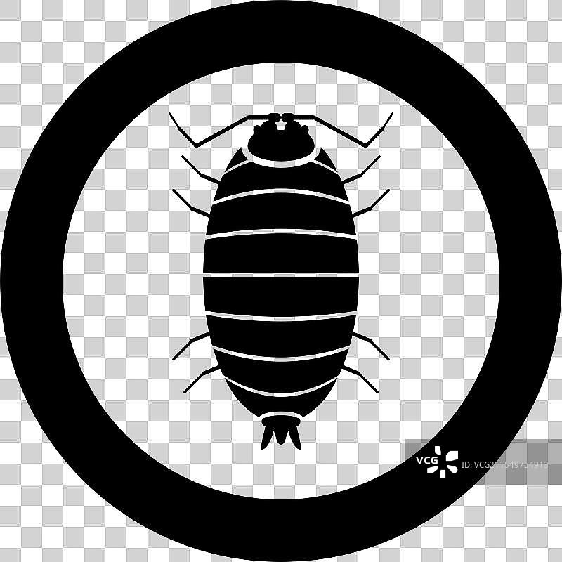 滚圆虫（Porcellio scaber）与木贼草图片素材