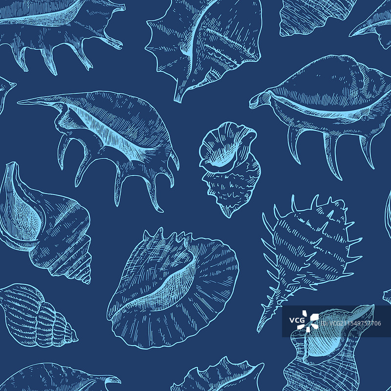 黑白贝壳无缝图案图片素材