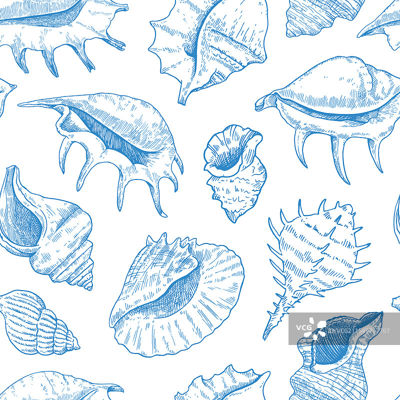 黑白贝壳无缝图案图片素材