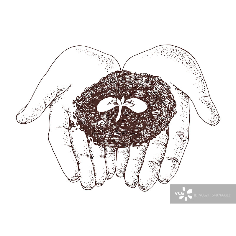 手中的幼苗图片素材