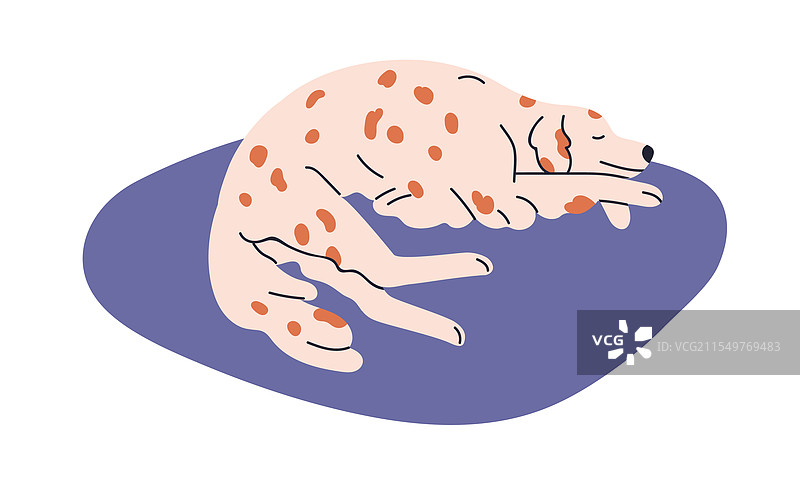 可爱的狗狗在垫子上睡觉，犬类动物在休息图片素材