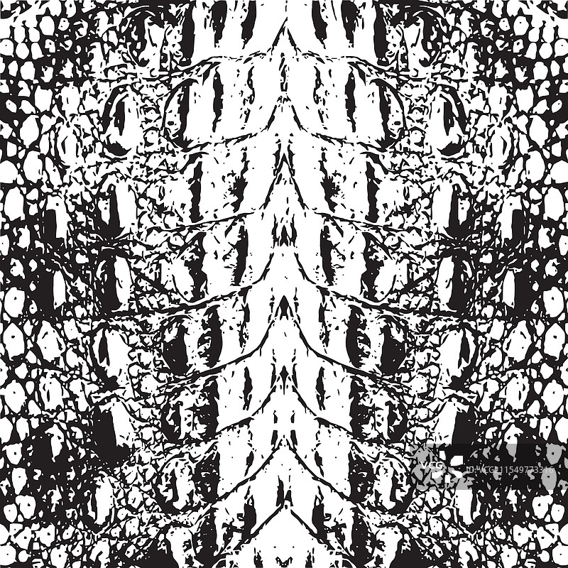 黑白鳄鱼皮纹理图片素材