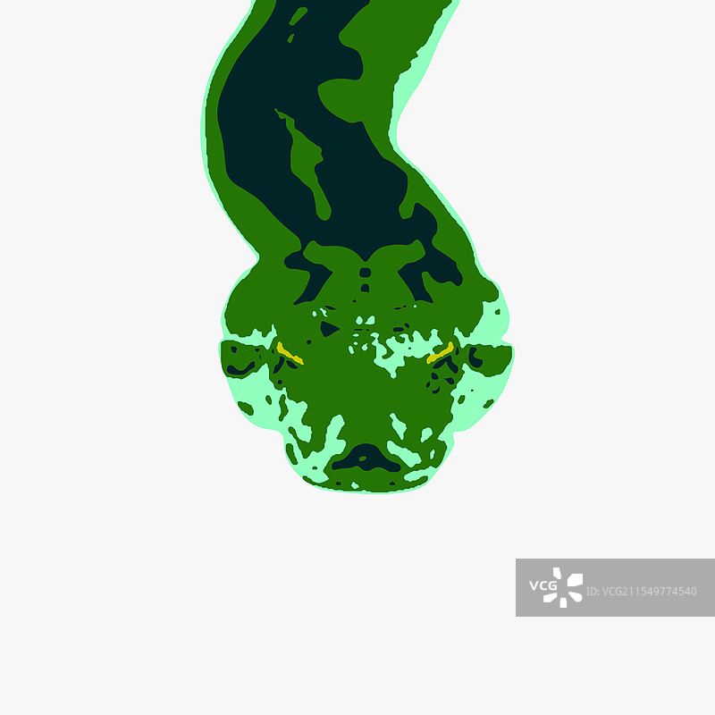 现代抽象绿色蛇头肖像图片素材