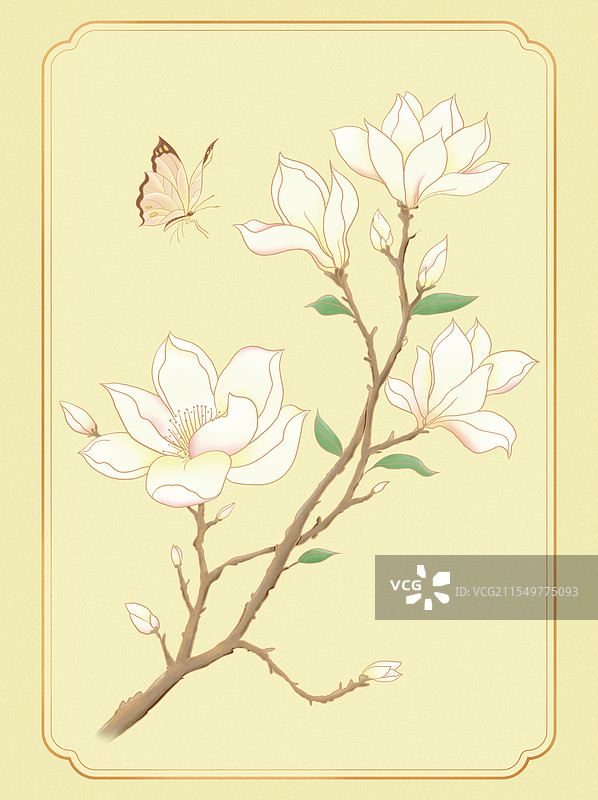 手绘蝶恋花蝴蝶玉兰花工笔风格插画图片素材